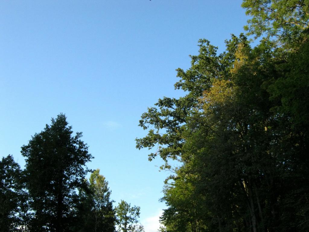 Вакалівщина з panoramio.com - Вакалівщина