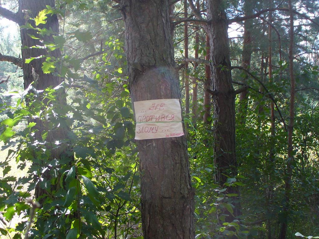 Городське з panoramio.com - Городське