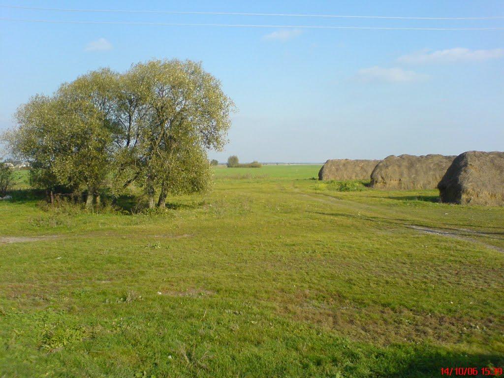 Великий Правутин з panoramio.com - Великий Правутин