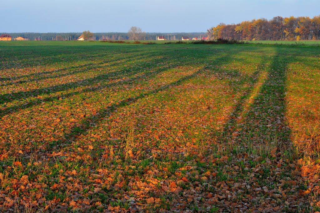 Малютянка з panoramio.com - Малютянка