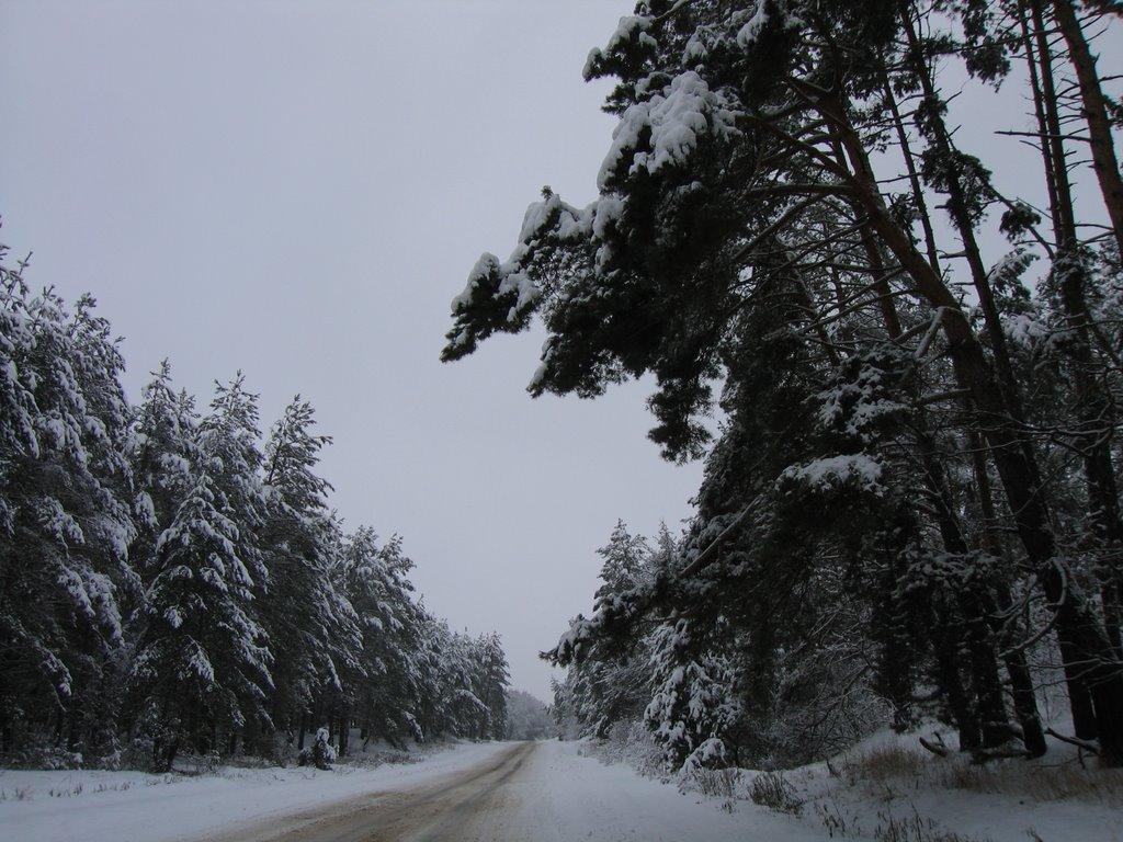 Мартинівка з panoramio.com - Мартыновка