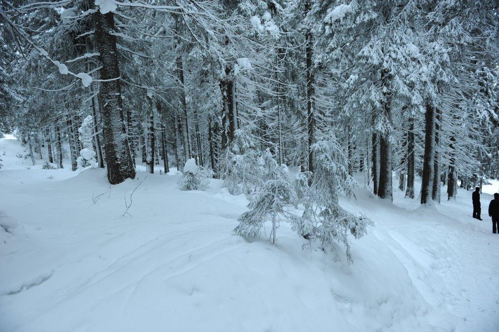 Говерла з panoramio.com (ч.2) - Говерла