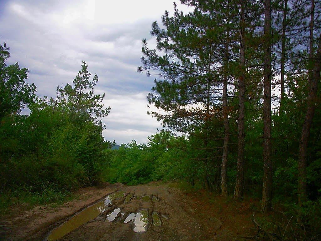 Синапне з panoramio.com - Синапное