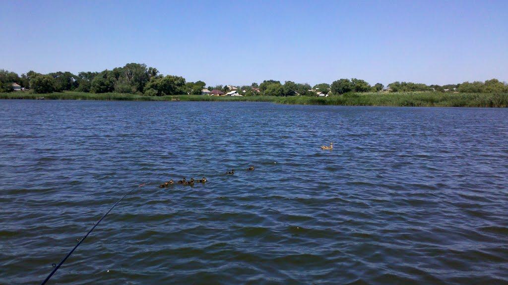 Чорнобай з panoramio.com - Чорнобай