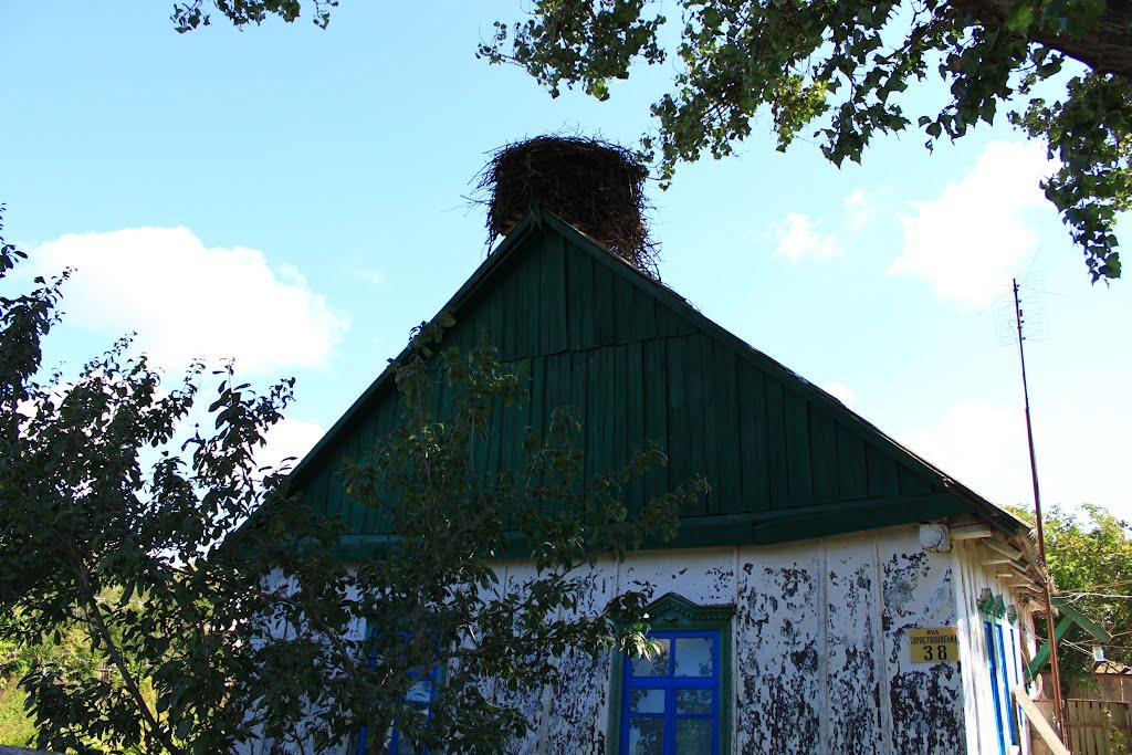 Биків з panoramio.com - Биків