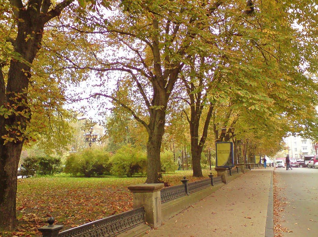 Петриків з panoramio.com (ч.2) - Петриків