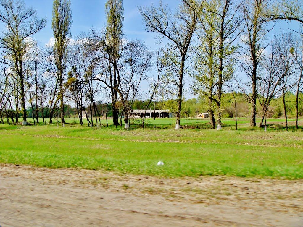 Гудзівка з panoramio.com - Gudzivka