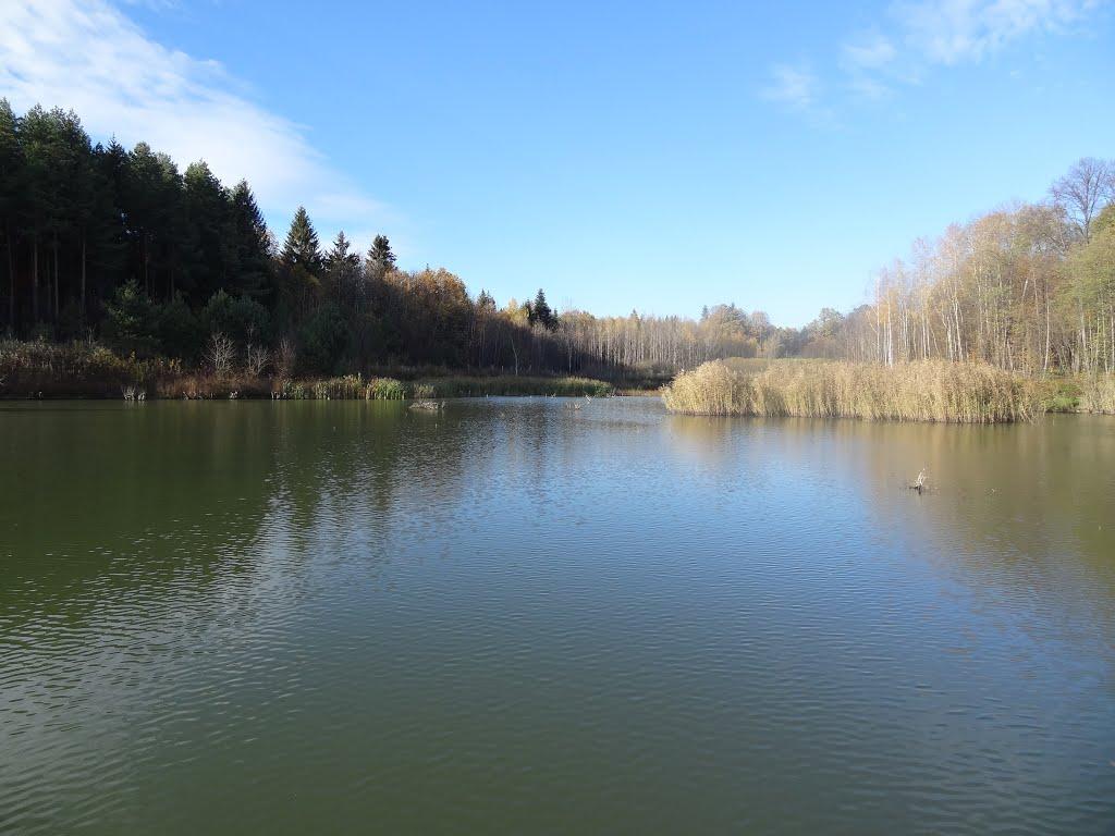 Корчівці з panoramio.com - Корчівці