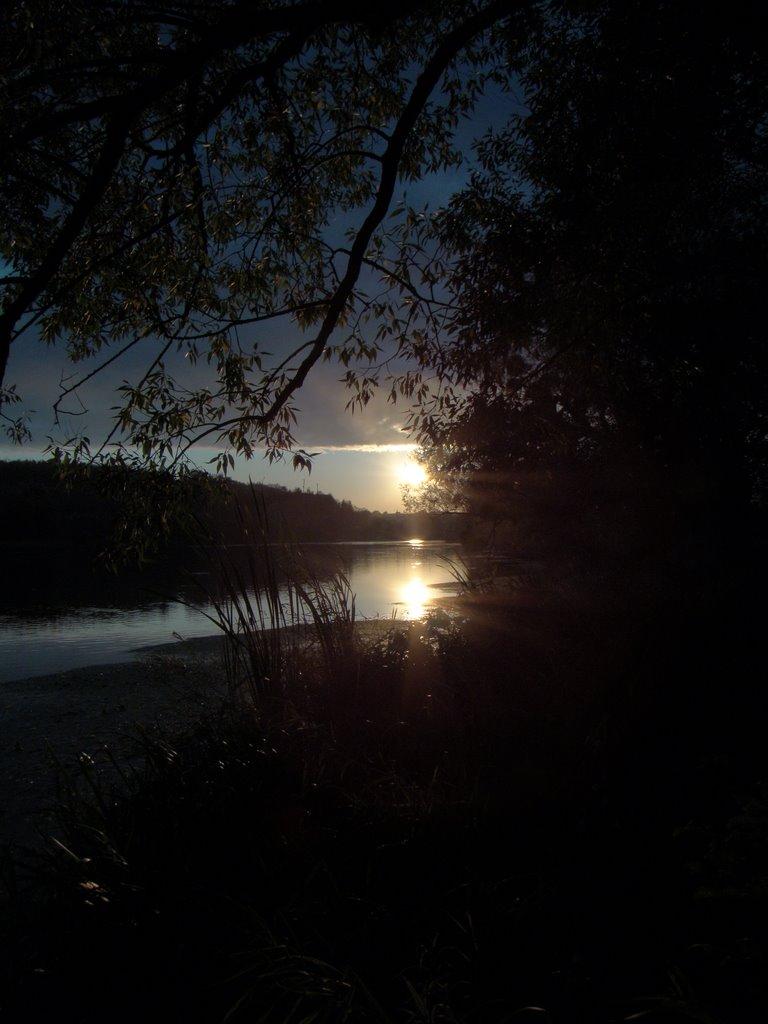 Дмитренки з panoramio.com - Дмитренки