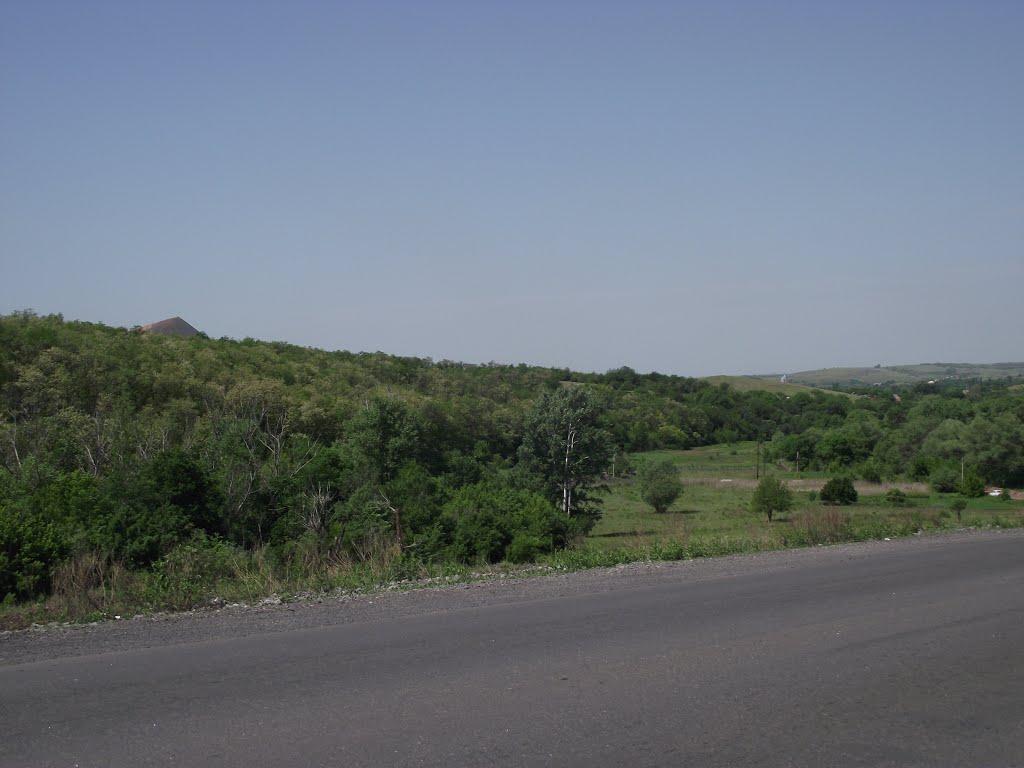 Шахтарськ з panoramio.com - Шахтерск