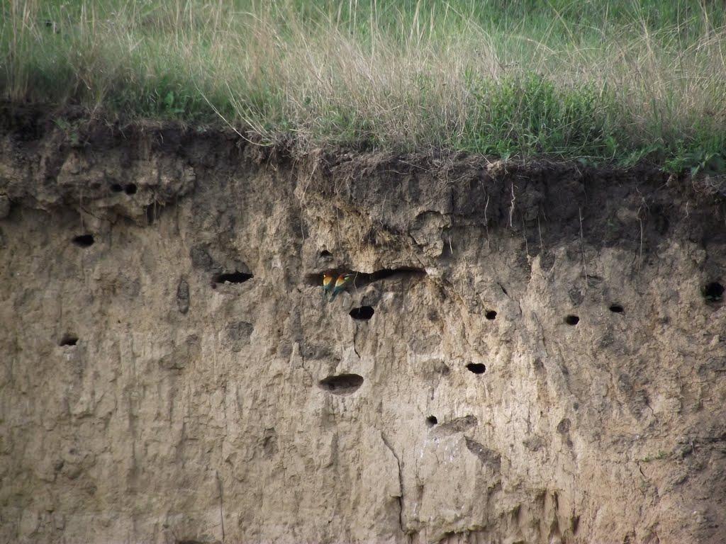 Закітне з panoramio.com - Закітне
