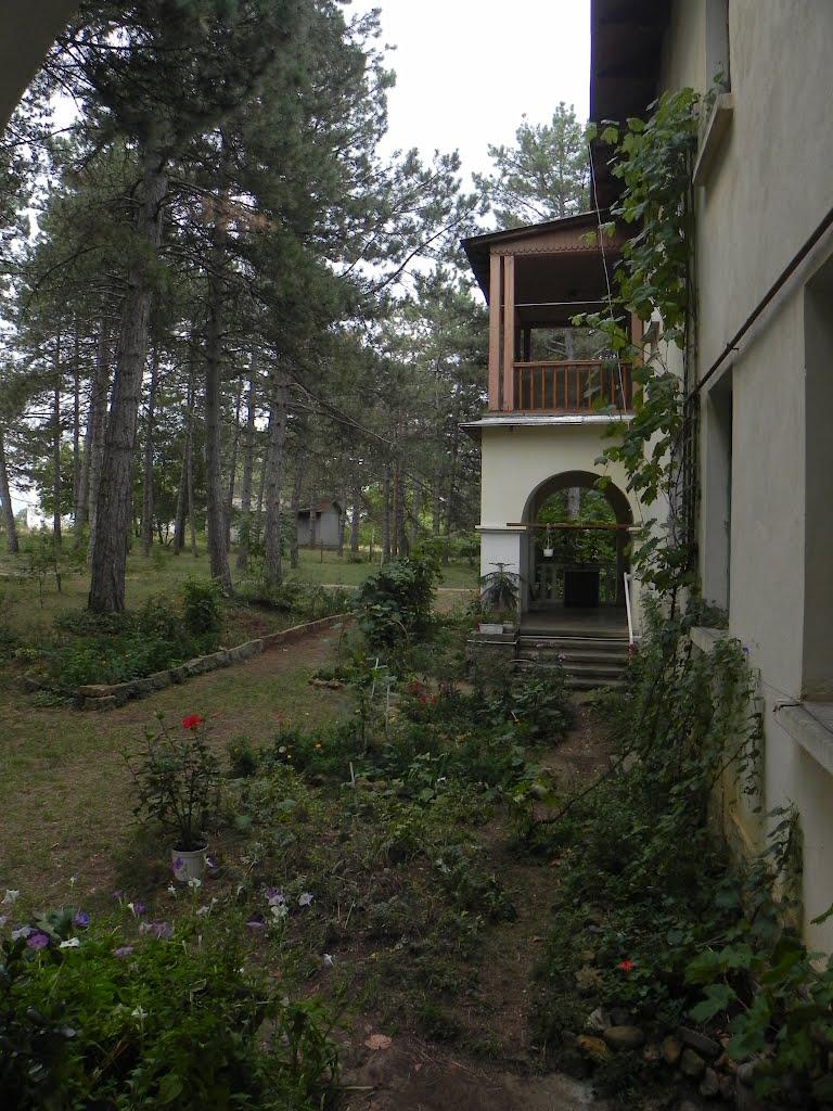 Научний з panoramio.com - Научний