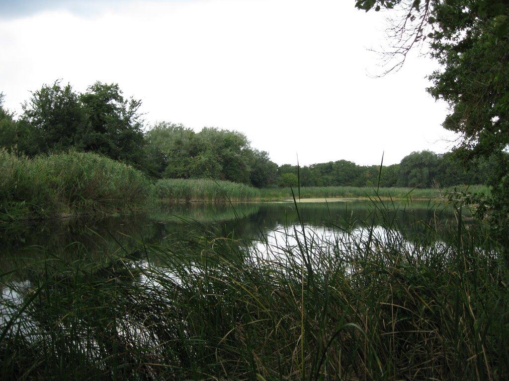 Балаклія з panoramio.com - Балаклія