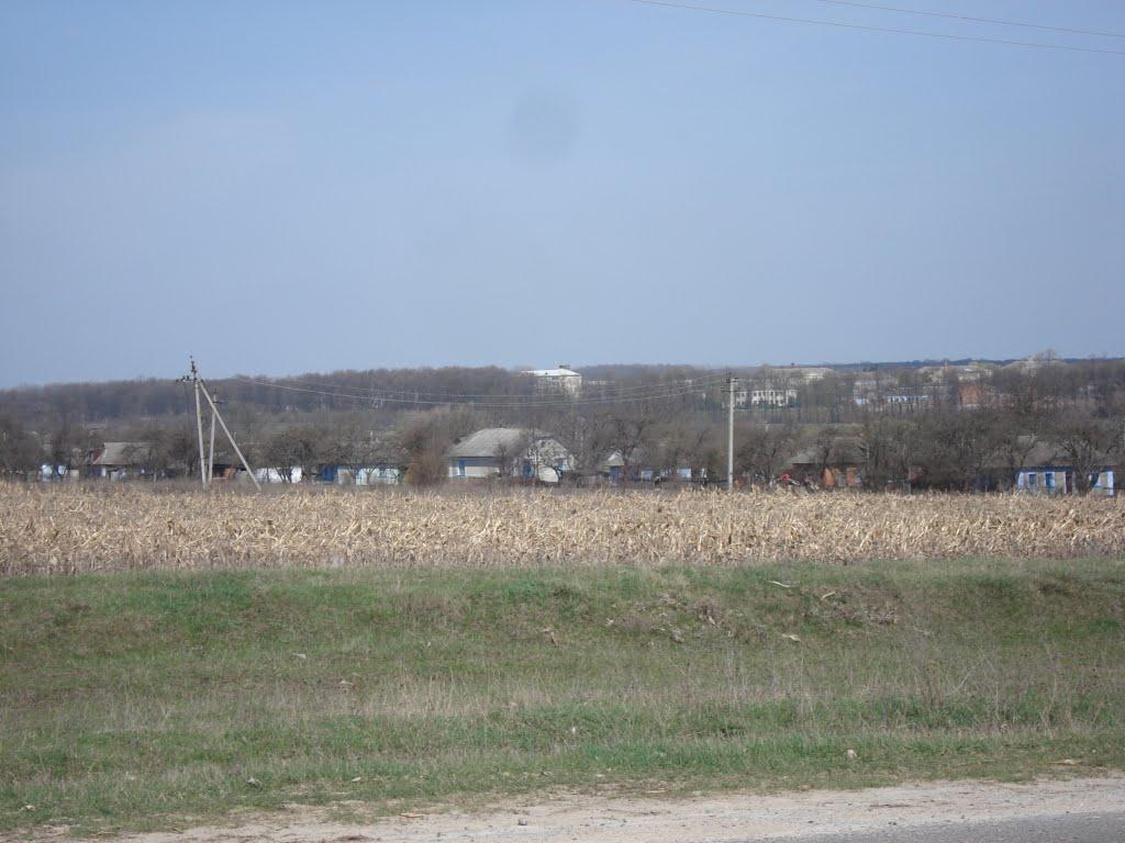 Томашівка з panoramio.com - Томашівка