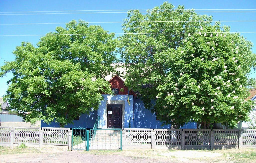 Новоукраїнка з panoramio.com - Новоукраїнка