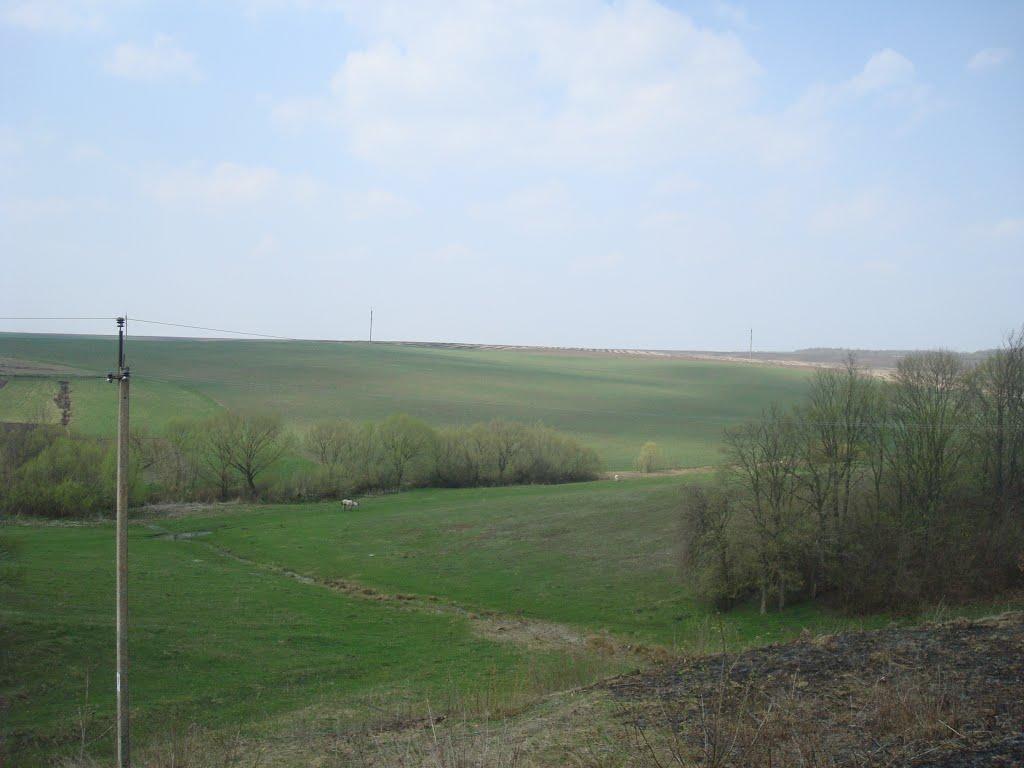 Малі Юначки з panoramio.com - Малые Юначки