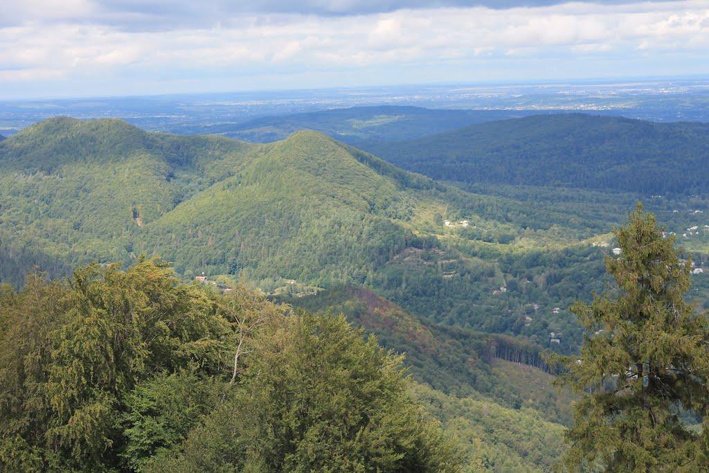 Малий Рожин з panoramio.com - Малый Рожин