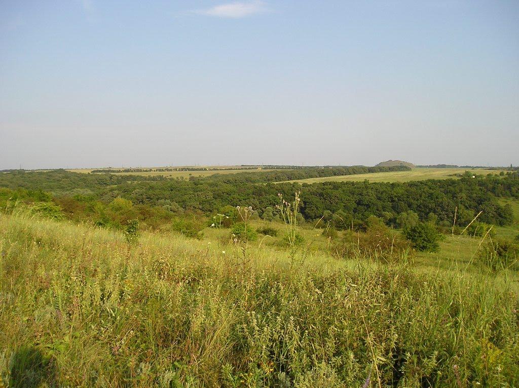 Чорнухине з panoramio.com - Чорнухине