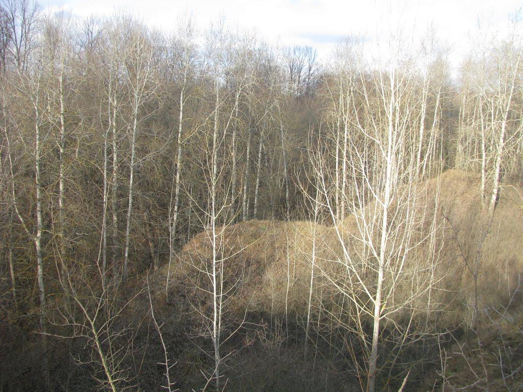 Печеніги з panoramio.com - Печеніги