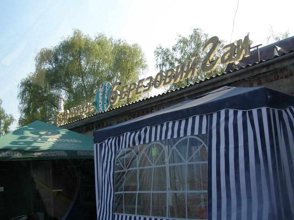 Лук'янівка з panoramio.com - Лук'янівка