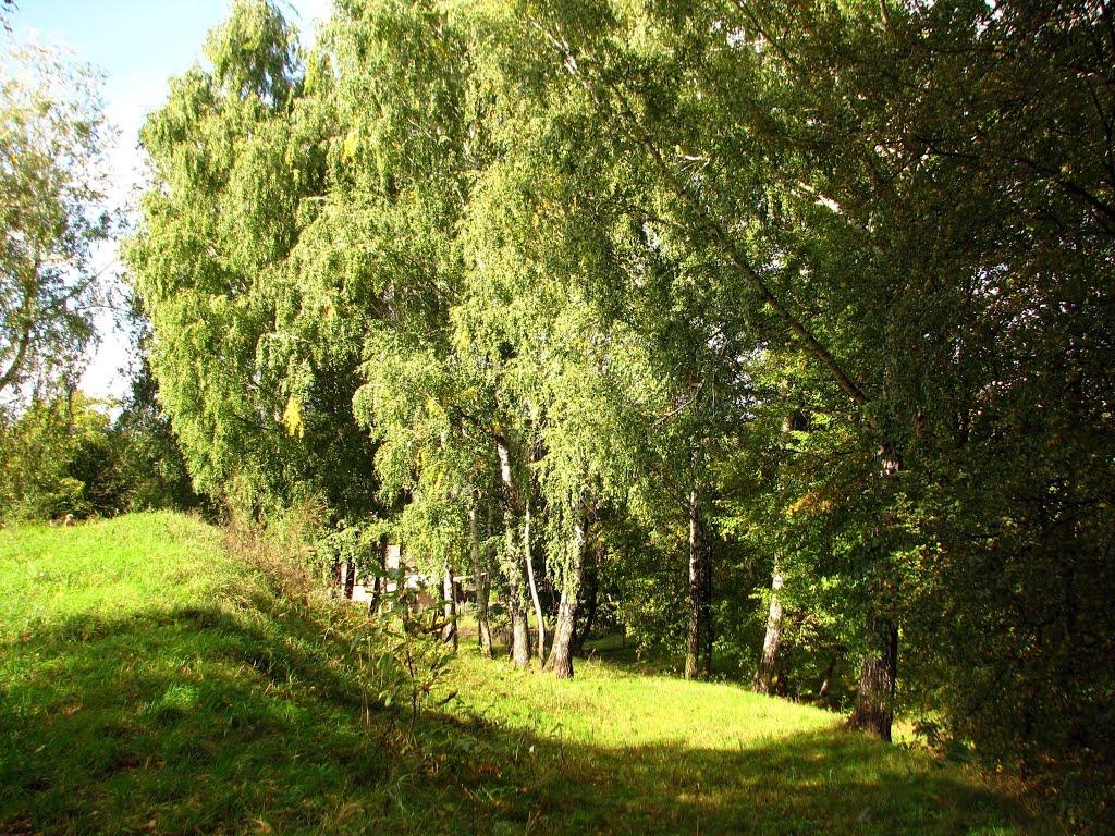 Фастів з panoramio.com (ч.2) - Фастов