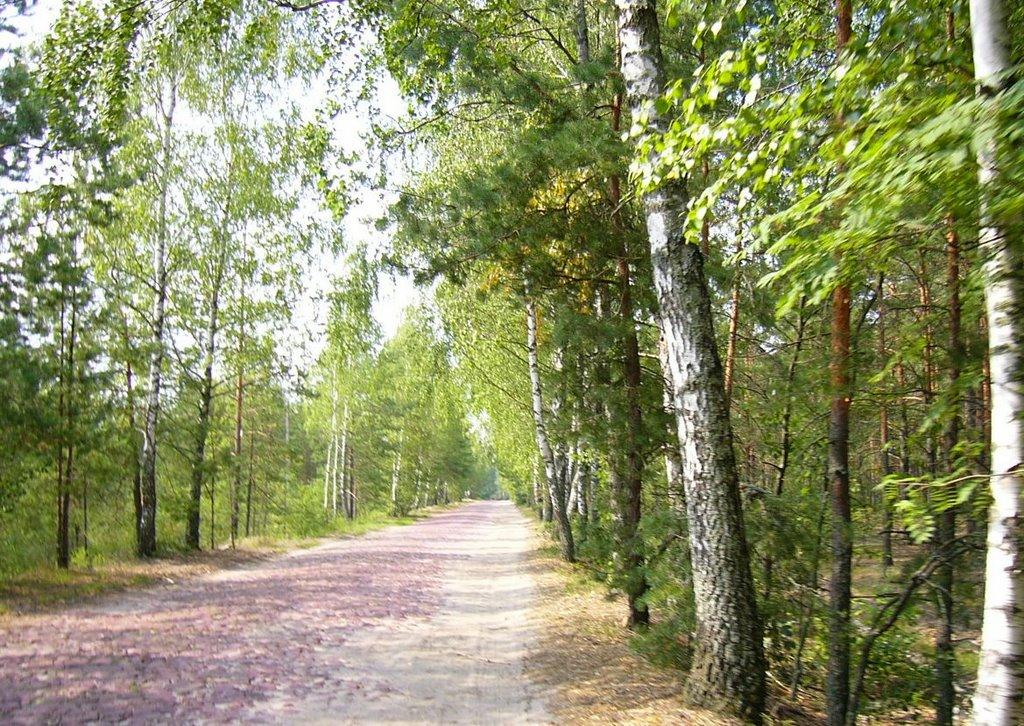 Побичі з panoramio.com - Побичи