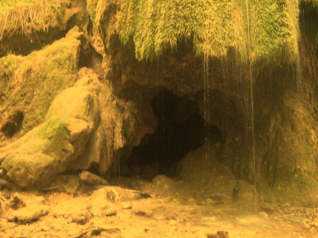 Соколине з panoramio.com (ч.2) - Sokolyne