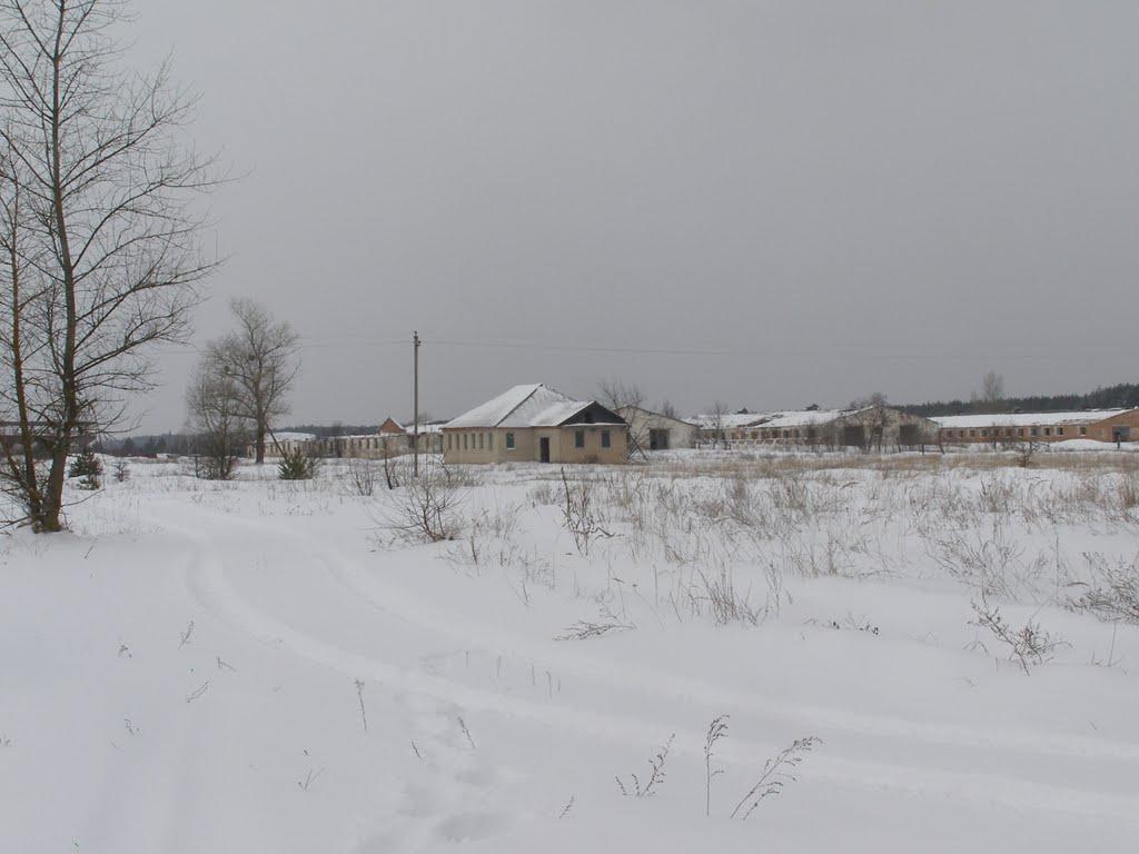 Старі Яриловичі з panoramio.com - Старі Яриловичі