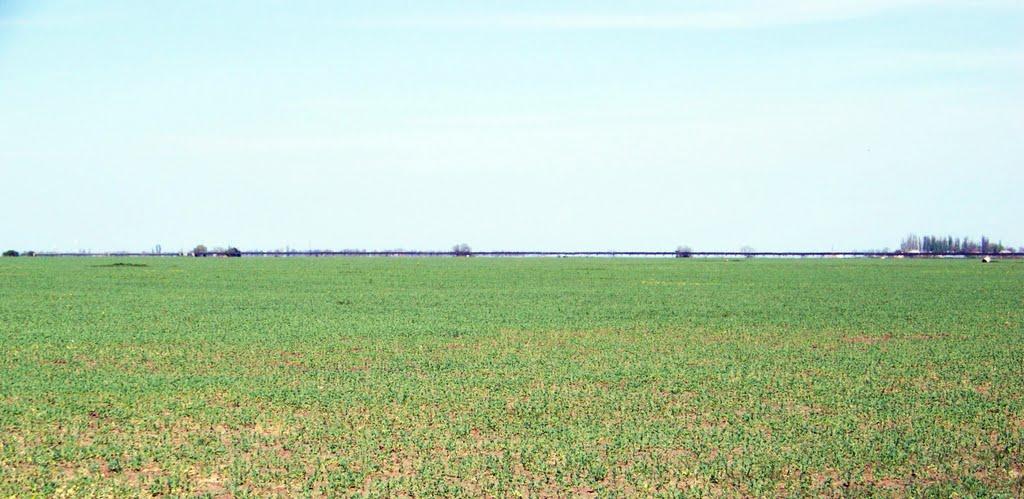 Придорожнє з panoramio.com - Придорожное