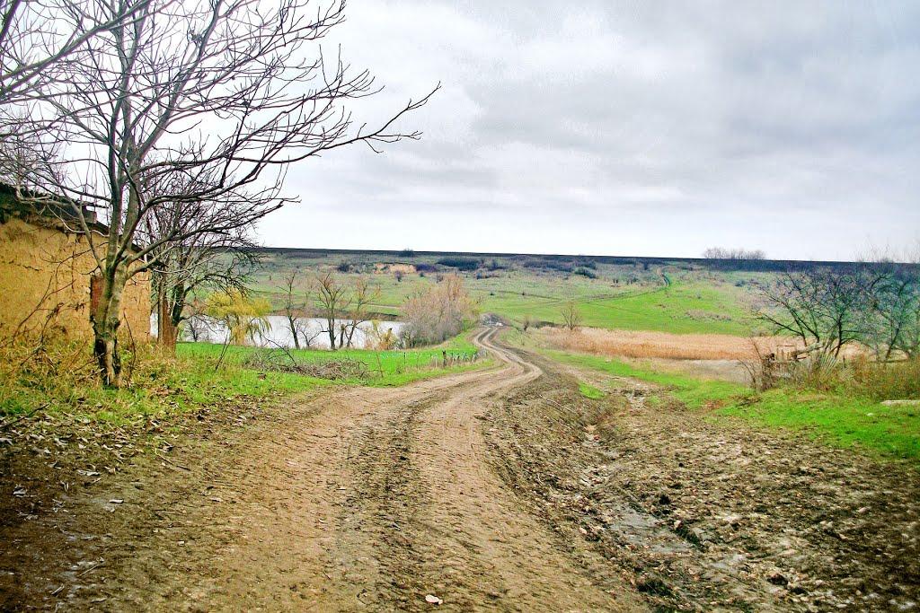 Тернова Балка з panoramio.com - Терновая Балка