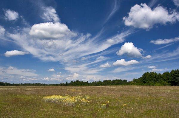 Вигода з panoramio.com - Вигода