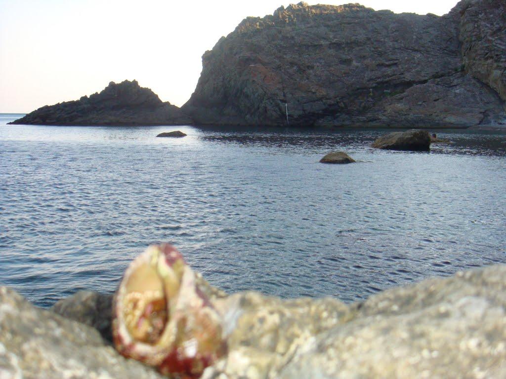 Санаторне з panoramio.com - Санаторное