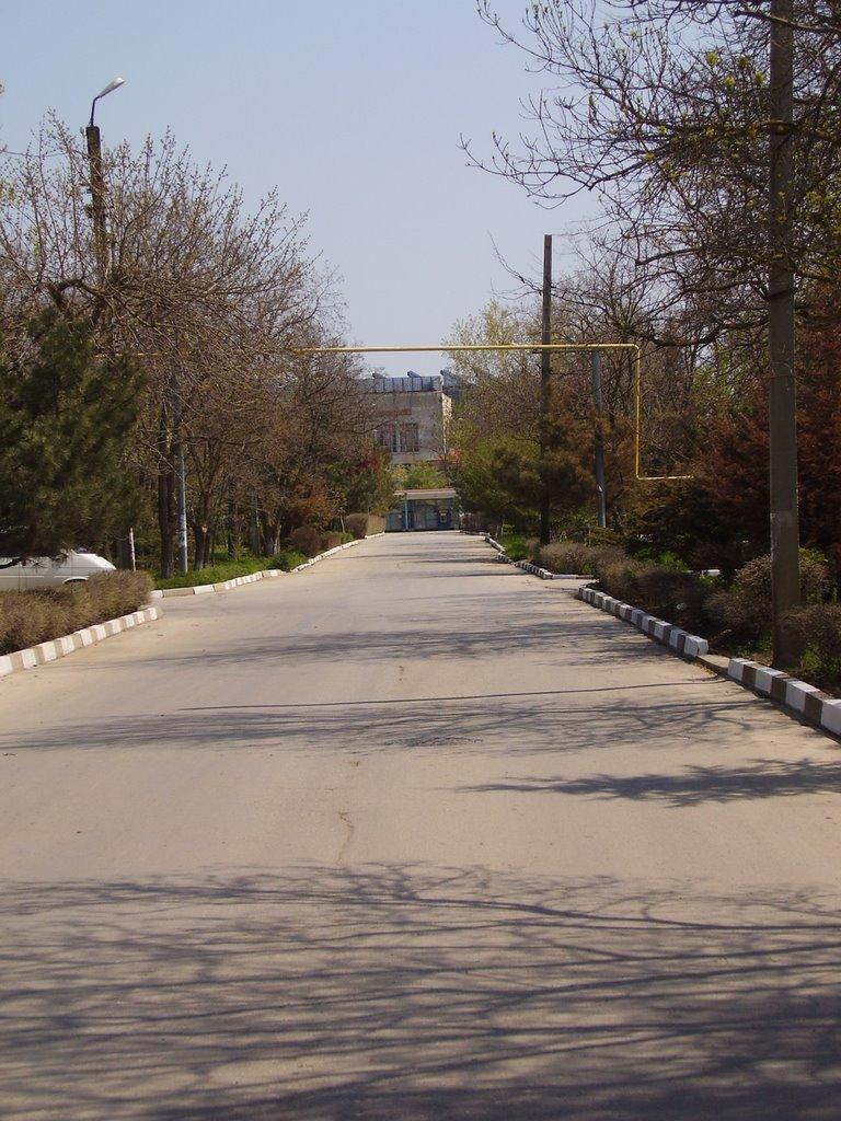 Приморський з panoramio.com (ч.2) - Приморский
