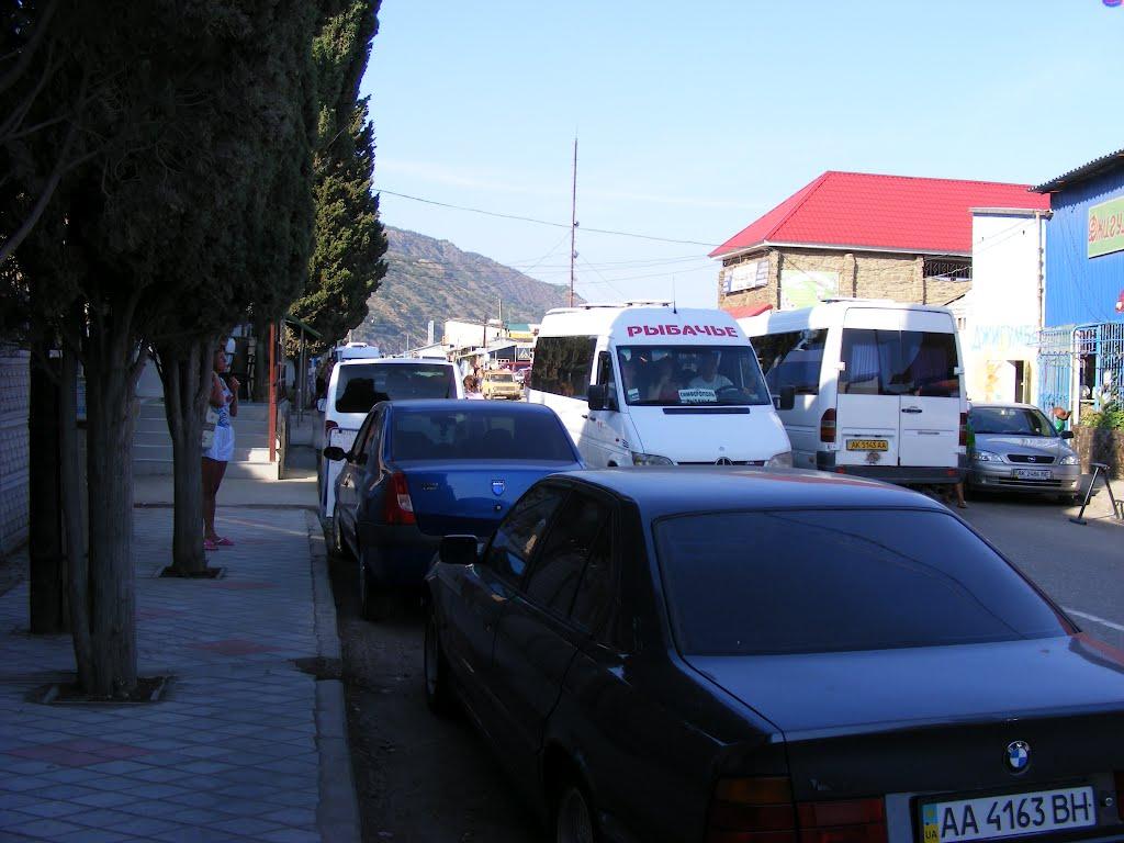 Рибаче з panoramio.com (ч.2) - Рибаче