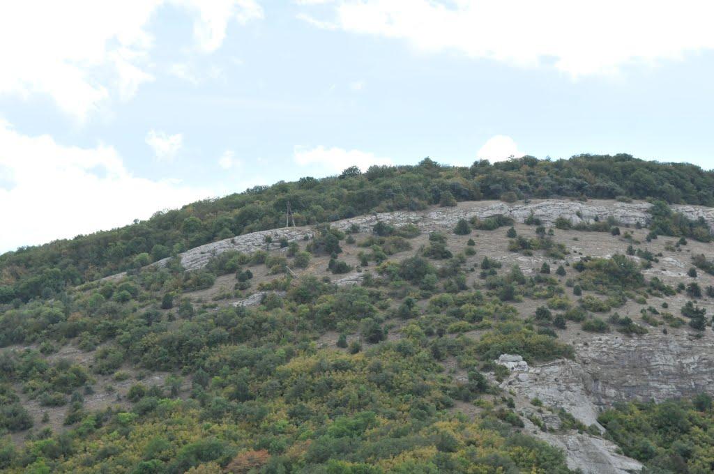Резервне з panoramio.com (ч.4) - Резервное