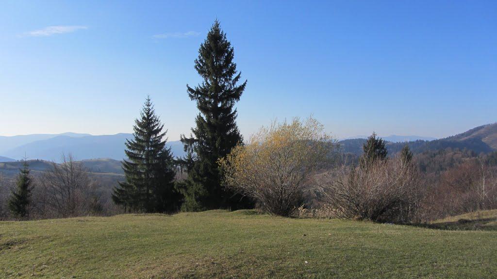 Стригальня з panoramio.com - Стригальня