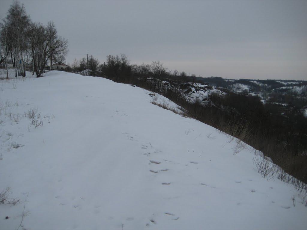 Срібне з panoramio.com - Сребное