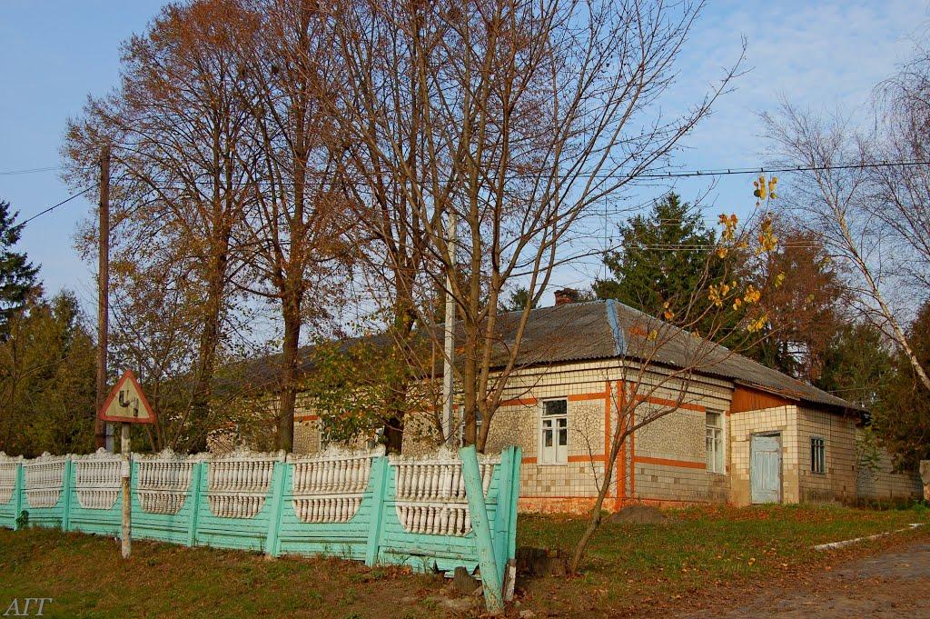 Великі Межирічі з panoramio.com - Velyki Mezhyrichi