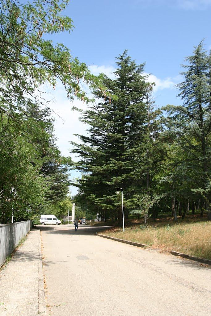 Научний з panoramio.com - Научний