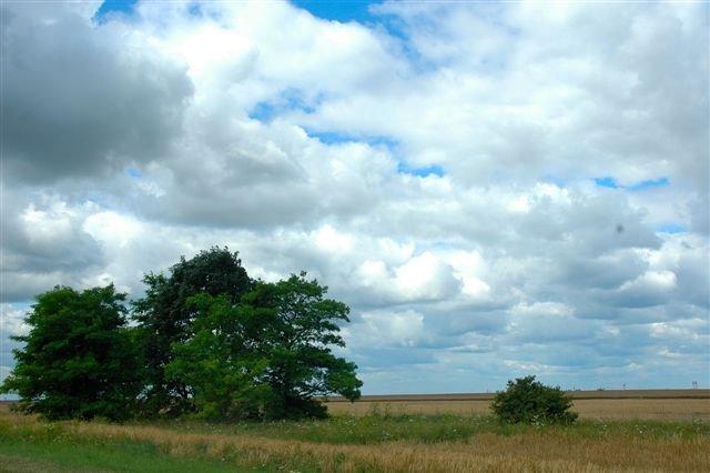 Сарнівка з panoramio.com - Сарнівка