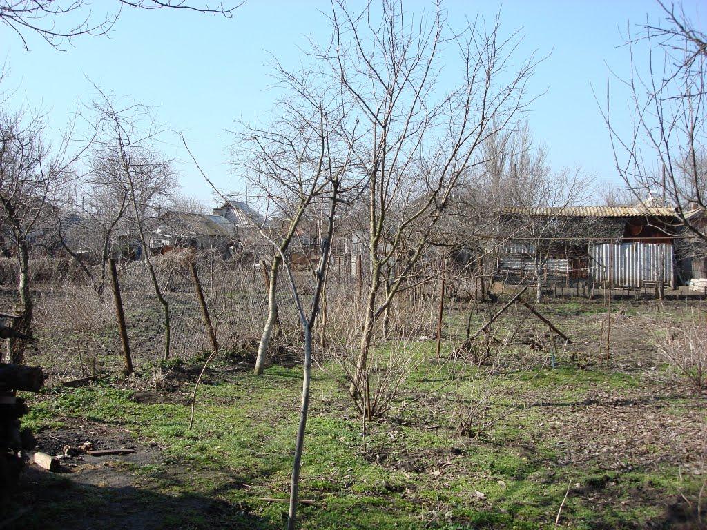 Веселинове з panoramio.com - Веселинове