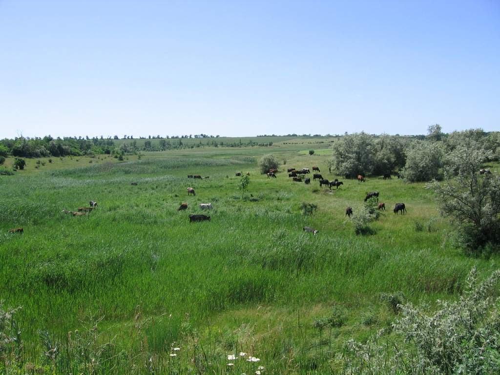 Арбузинка з panoramio.com - Арбузинка
