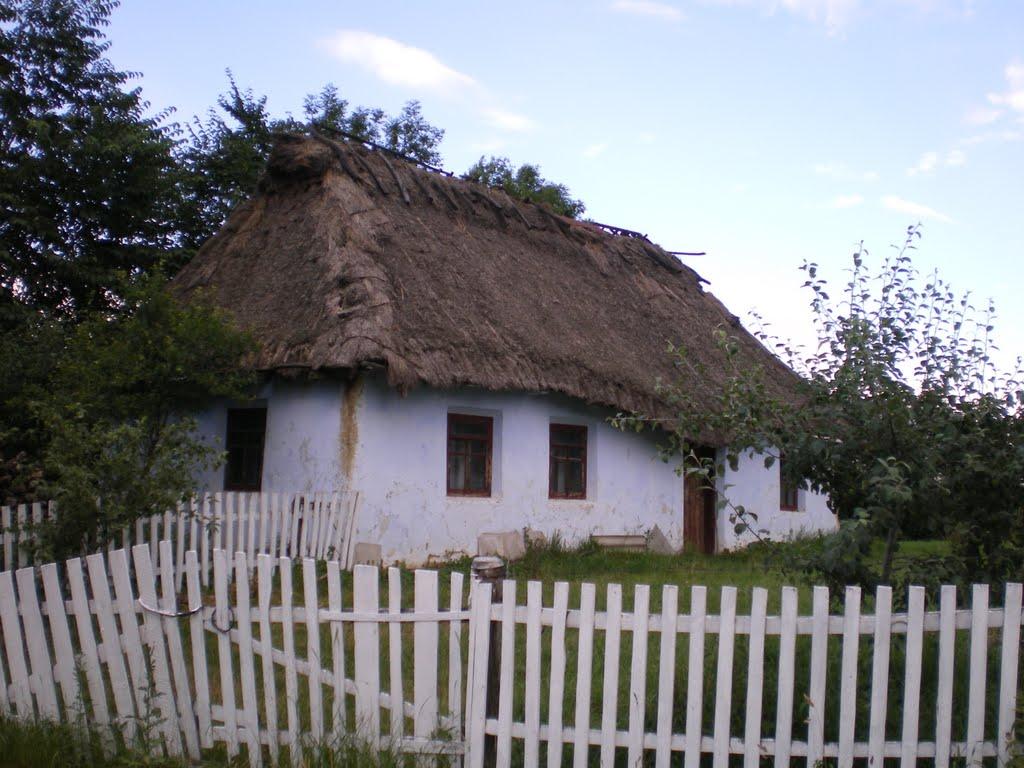 Козарівка з panoramio.com - Козарівка