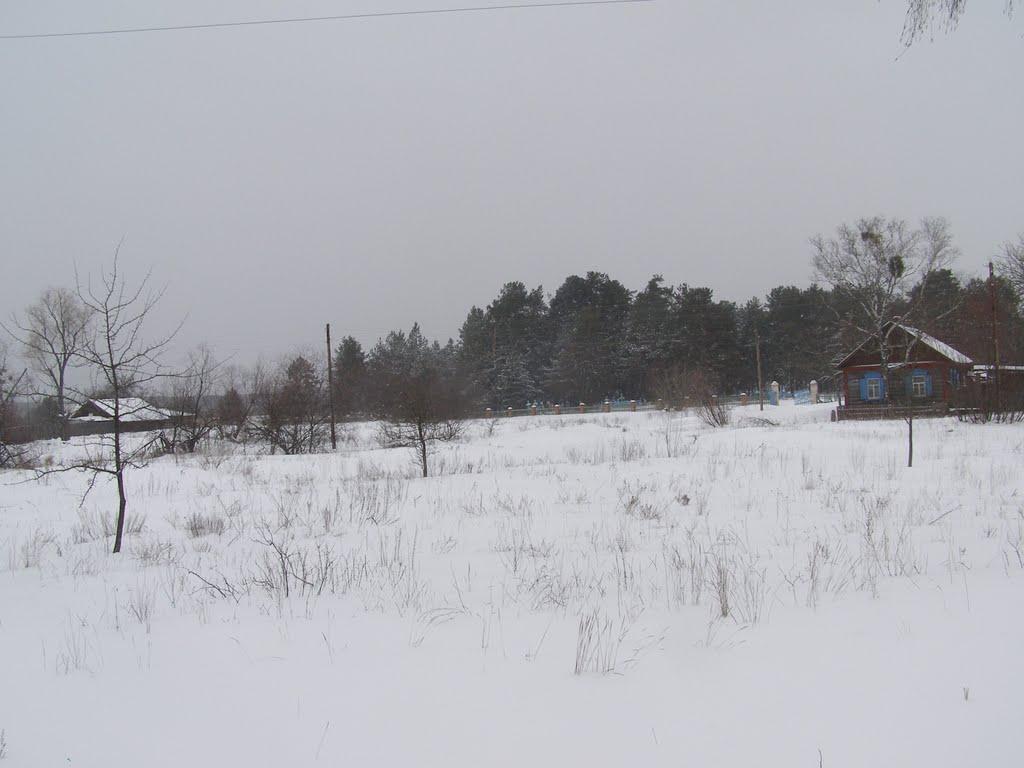 Старі Яриловичі з panoramio.com - Старі Яриловичі