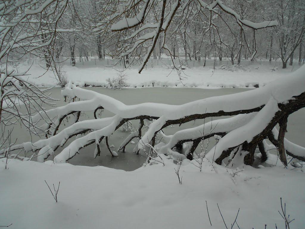 Козятин з panoramio.com - Козятин