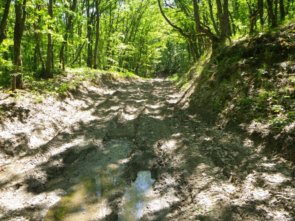 Високе з panoramio.com - Высокое