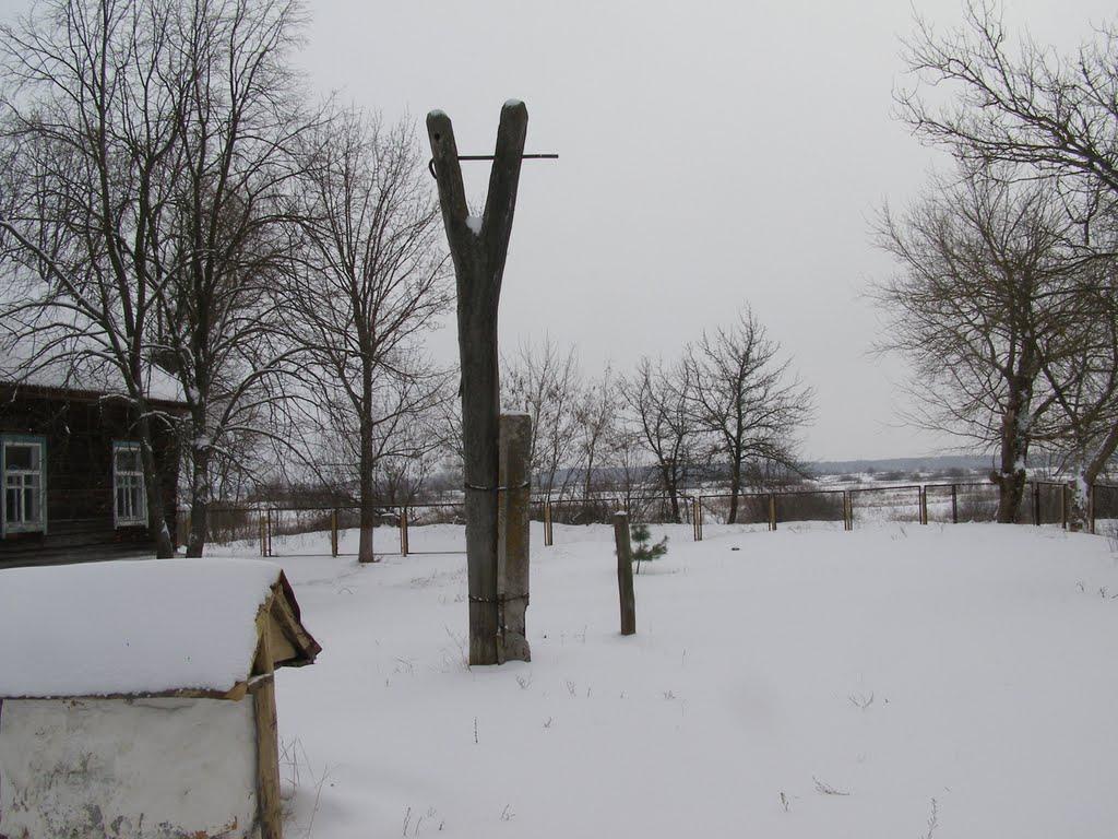 Старі Яриловичі з panoramio.com - Старі Яриловичі