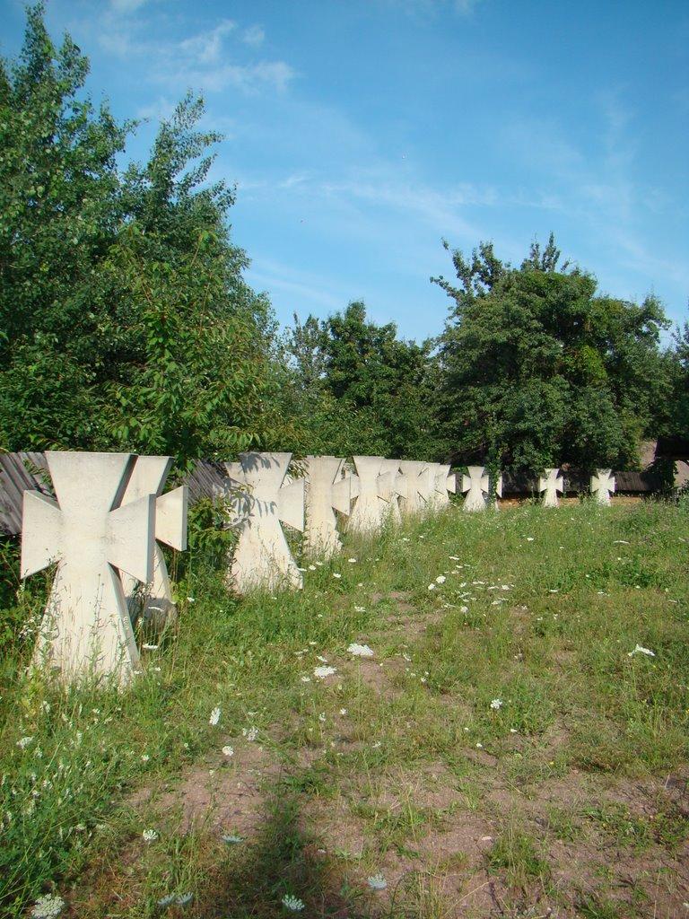 Софіївська Борщагівка з panoramio.com (ч.2) - Софиевская Борщаговка