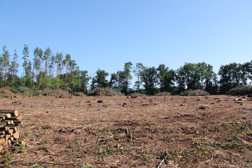 Устинкова Гребля з panoramio.com - Устинкова Гребля