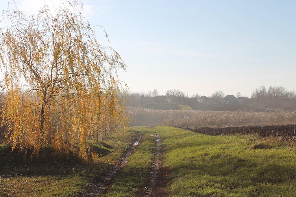 Губиниха з panoramio.com - Губиниха